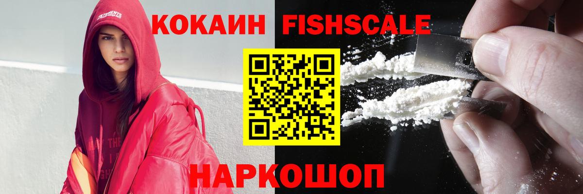 Кокаин FishScale  продажа наркотиков  Вход с VPN  Аргун  КОКАИН FishScale 