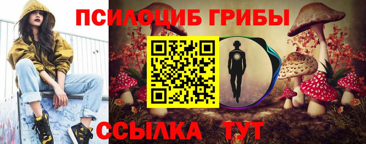 Галлюциногенные грибы мицелий Аргун