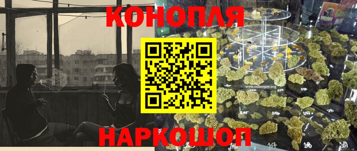 Бошки марихуана марихуана  Бошки марихуана семена  Вход с VPN  Аргун  Канабис планчик 